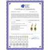 Image 2 : Genuine 2.12 ctw Citrine & Peridot Earrings 14KT Yellow Gold - REF-42R4P