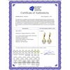 Image 2 : Genuine 6.5 ctw Green Amethyst Earrings 14KT Yellow Gold - REF-43X2M