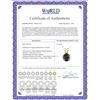 Image 2 : 14K Yellow Gold 0.75 ct Black Diamond Solitaire Necklace - REF-53Z7A
