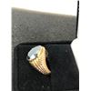 Image 2 : 10K MENS RING WITH HEMATITE,7.4G
