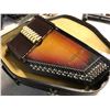 Image 2 : CHROMEAHARP 36 STRING WITH CARRY CASE