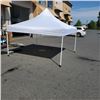 Image 1 : 10FT X 10FT FT DELUXE CANOPY