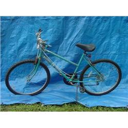 Huffy Womens Mountain Bicycle