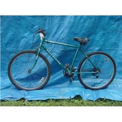 Roadmaster Mens Mountain Bicycle