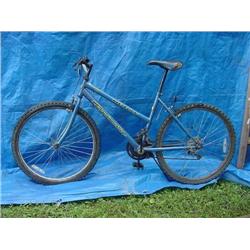 Roadmaster Mt. Fury Womens Bicycle