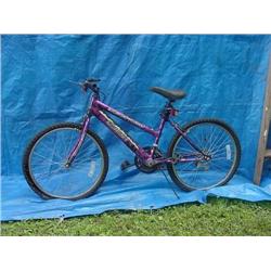 Quest Elevation Womens Mountain Bicycle