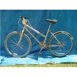 Q Womens Mountain Bicycle