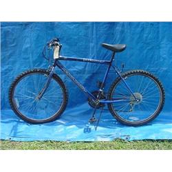 Roadmaster Mt. Fury Mens Mountain Bicycle