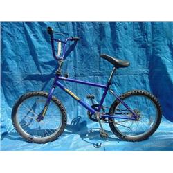 Trident  Boys Dirt Bicycle