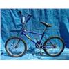 Image 1 : Trident  Boys Dirt Bicycle