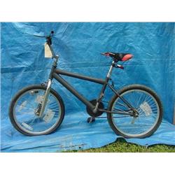 Unknown Boys Dirt Bicycle