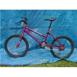 Murray Mt. Climber Girls Dirt Bicycle