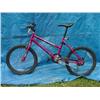 Image 1 : Murray Mt. Climber Girls Dirt Bicycle