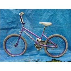 Murray Girls Dirt Bicycle