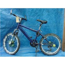 TC Boys Dirt Bicycle