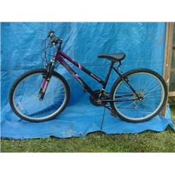 Roadmaster Mt. Sport Womens Mountain Bicycle