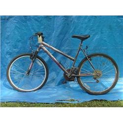 Roadmaster Womens Mountain Bicycle
