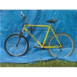 Royce Union 700 Mens Mountain Bicycle