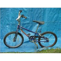 Zephyr Boys Dirt Bicycle