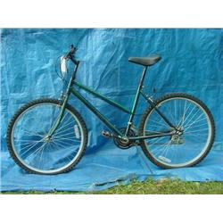 Unknown Womens Mountain Bicycle