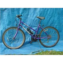 Pacific Paradise Womens Mountain Bicycle