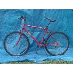 Palmer Mens Mountain Bicycle