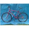 Image 1 : Palmer Mens Mountain Bicycle