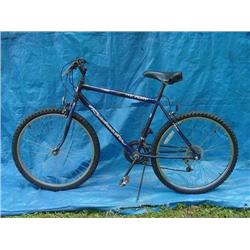 Roadmaster Mt. Fury Mens Mountain Bicycle