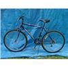 Image 1 : Roadmaster Mt. Fury Mens Mountain Bicycle