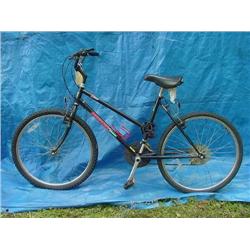 Nishiki Blazer Womens Mountain Bicycle