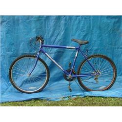 Roadmaster Elevation Mens Mountain Bicycle