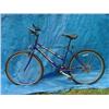 Image 1 : Fuji MX-280 Womens Mountain Bicycle