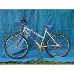 Magna Skyquest Womens Mountain Bicycle