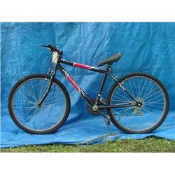 Roadmaster Mt. Fury Mens Mountain Bicycle