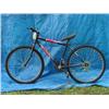 Image 1 : Roadmaster Mt. Fury Mens Mountain Bicycle