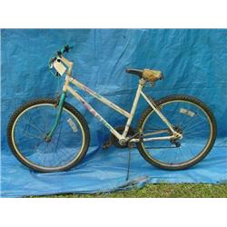 Magna Northern Ridge Womens Mountain Bicycle