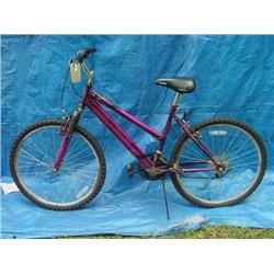 Roadmaster Element Womens Mountain Bicycle