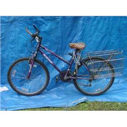 Rand Womens Mountain Bicycle