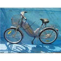 Electric Bicycle