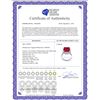 Image 2 : Genuine 7.45 ctw Ruby & Diamond Ring 14KT White Gold - REF-119T7A