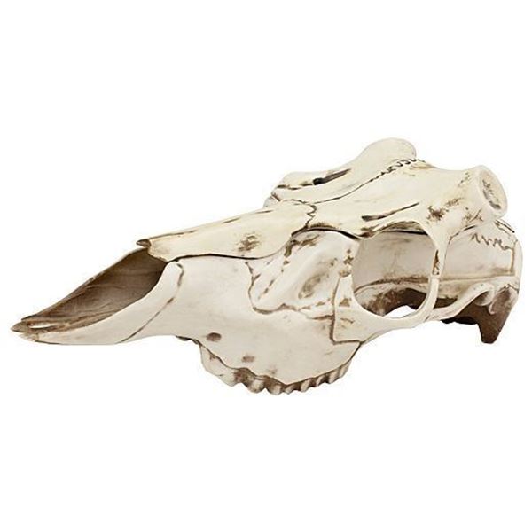 MOUNTAIN MIKE'S NATURAL CAUSES SKULL MASTER W/POSITIONER