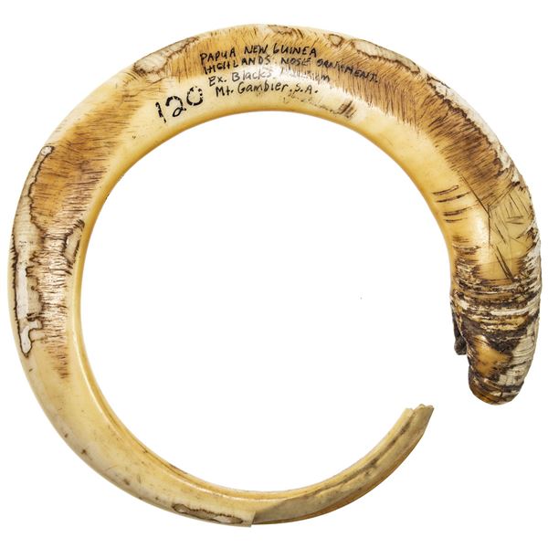 OCEANIA: PAPUA NEW GUINEA: boar tusk