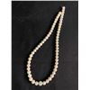 Image 2 : Pearl Necklace, Bracelet, and Earrings