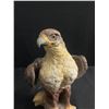 Image 2 : 9" High Falcon Ceramic Bird. Wing has been repaired.