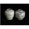 Image 1 : LG FOOTED UNDERGLAZED BLUE & WHITE JARS, FLORAL