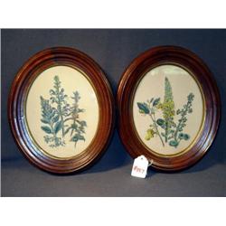 BLACK WALNUT OVAL FLORAL PRINTS -- 2X THE MONEY