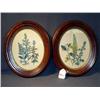 Image 1 : BLACK WALNUT OVAL FLORAL PRINTS -- 2X THE MONEY
