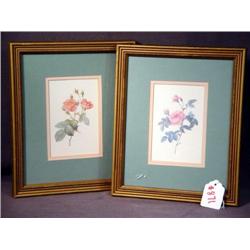 PR FRAMED FLOWER PRINTS