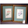 Image 1 : PR FRAMED FLOWER PRINTS