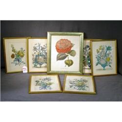 LOT 7 SM FRAMED EARLY FLORAL PRINTS